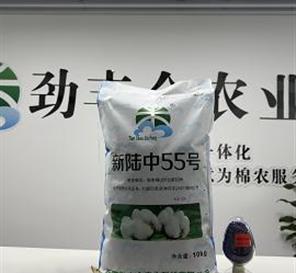 产品名称