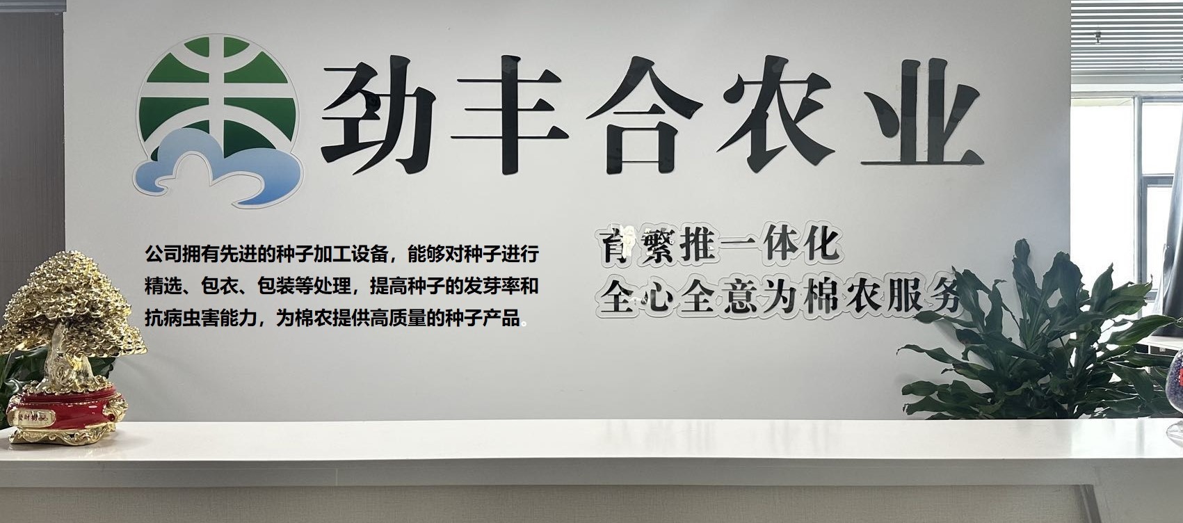 新疆劲丰合农业科技有限公司