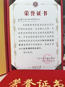 荣誉资质