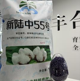f9608aba12b3a4b29cd6db95d8f5b10.jpg